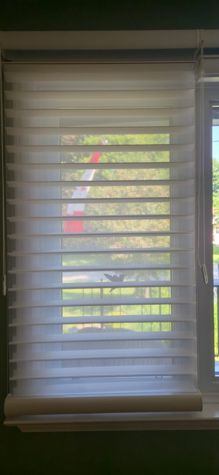 Cleaned white roller blind after service