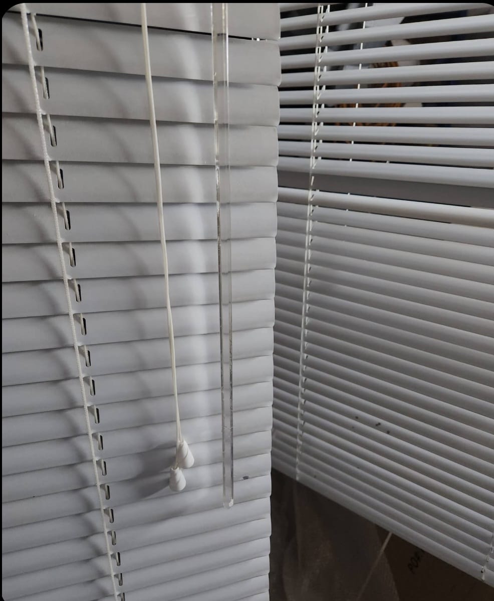 Fresh cleaned window blinds with bright slats